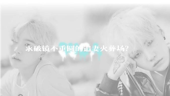 求破镜不重圆的追妻火葬场？