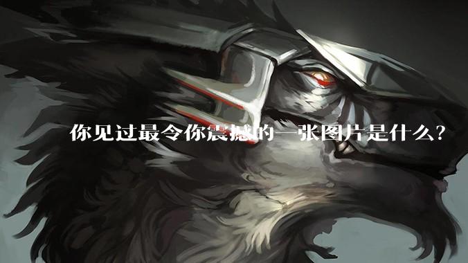 你见过最令你震撼的一张图片是什么？