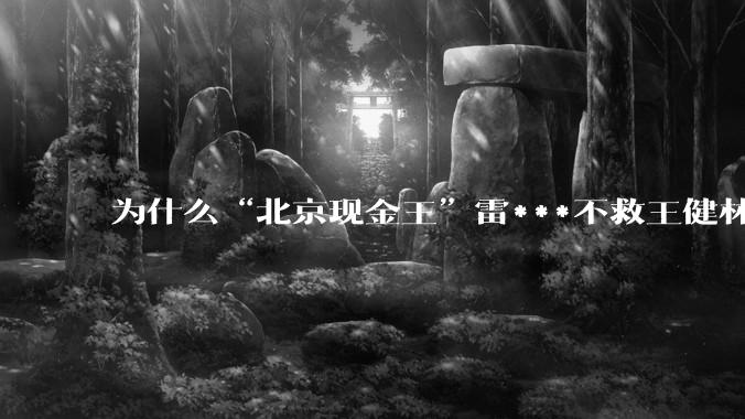 为什么“北京现金王”雷***不救王健林？
